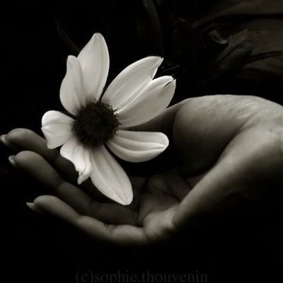 Оксана Посититель