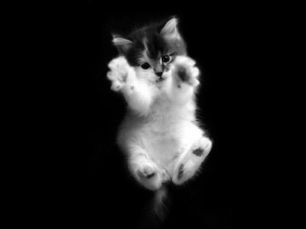 Надюшка Григорьева