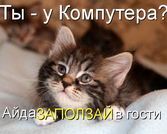 Светлана Левицкая