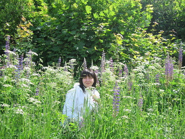 Ефименко Елена