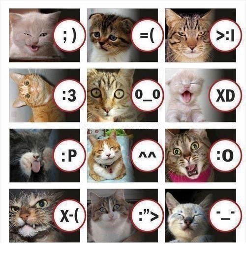 Таня Иванчик