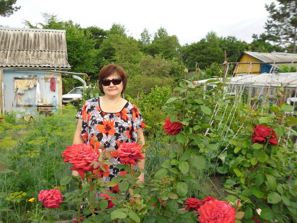 Елена Малахова