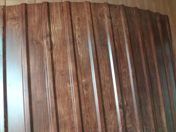 Светлана Комиссаренко