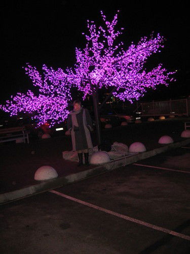 Елена Росол