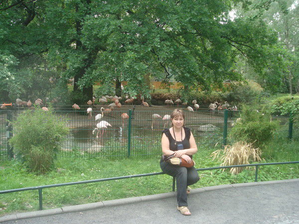 Наталья Фролова