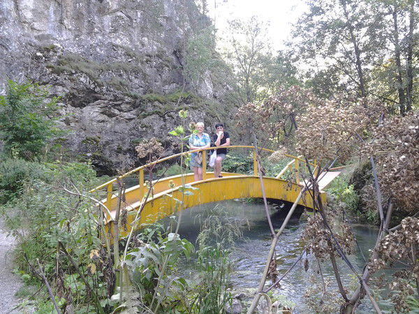 Елена Прохорова