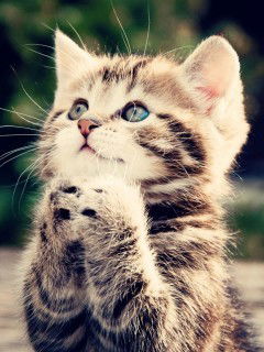 Оксана Хилькевич