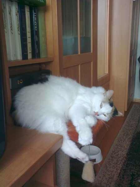 Irmina Romankevičienė