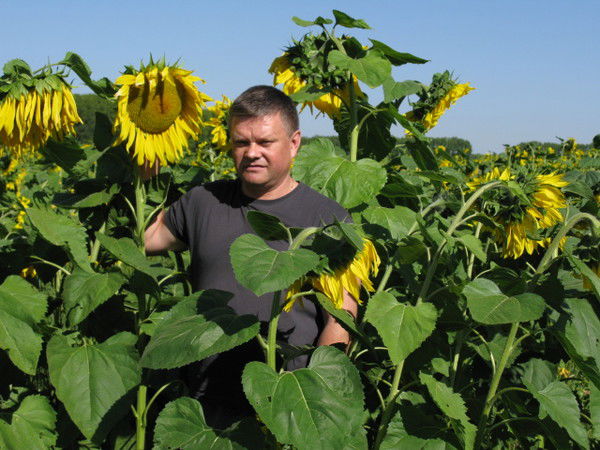 Владимир Шевченко