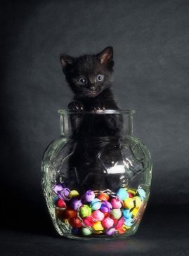 Наташа Булевич