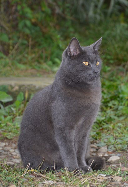 Евгения Ануфриева