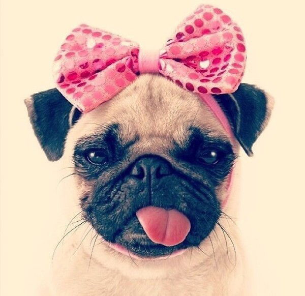 Маргарита Рябова