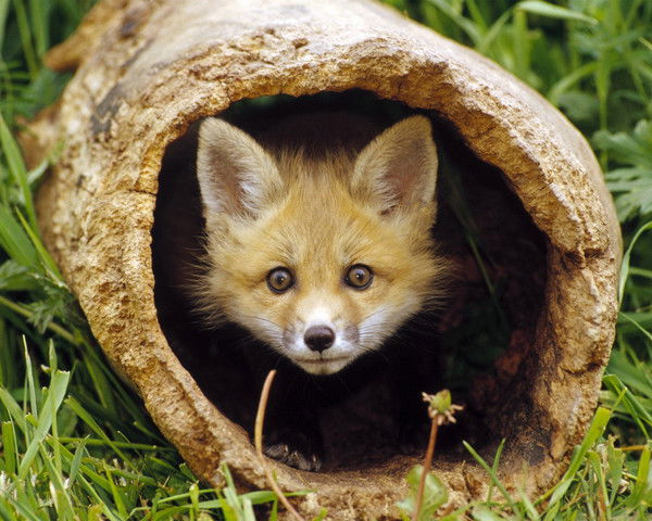 Оля Кольцун