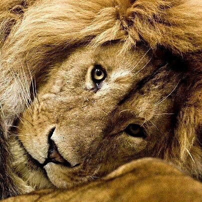 Виктор Малахов