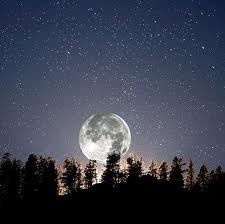 Жолдасбек Бердибеков