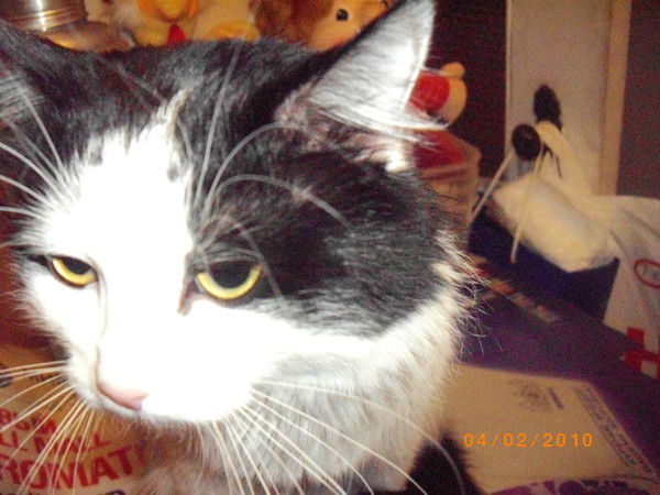 Татьяна Новикова