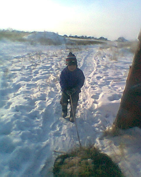 Алмаз Туребеков