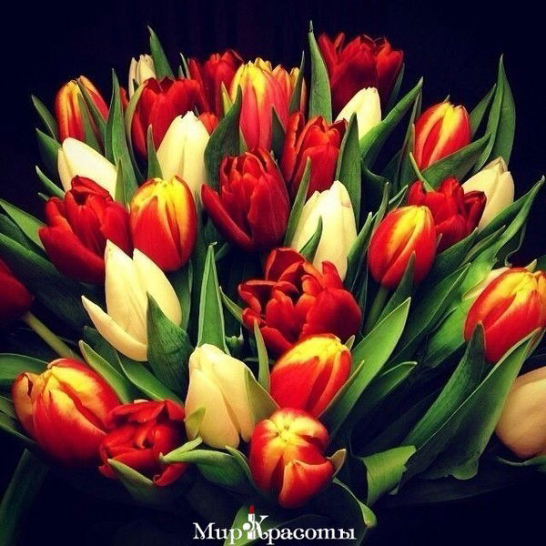 Алма Хыдырмагамбетова