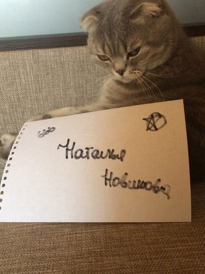 Наталья Новикова