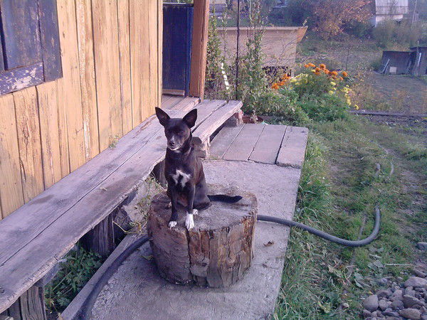 Екатерина Нейвирт