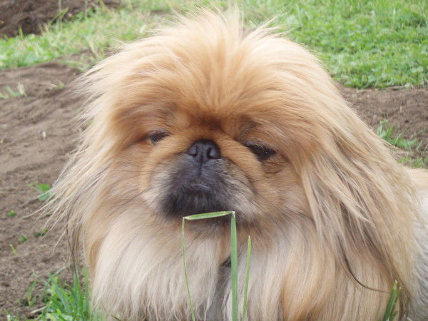 Константин Герасименко