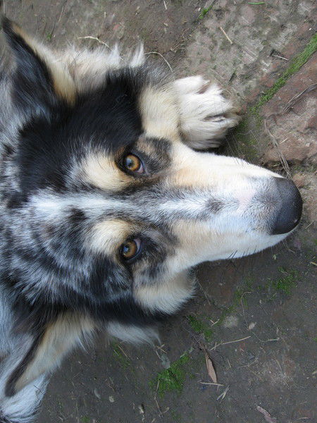 Юлия Соколова