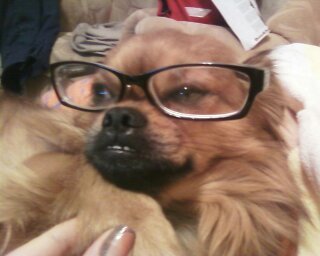 Олег Гетман