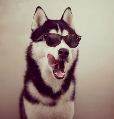 Павел Александров