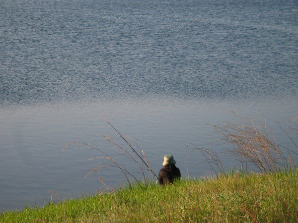 Елена Карасева