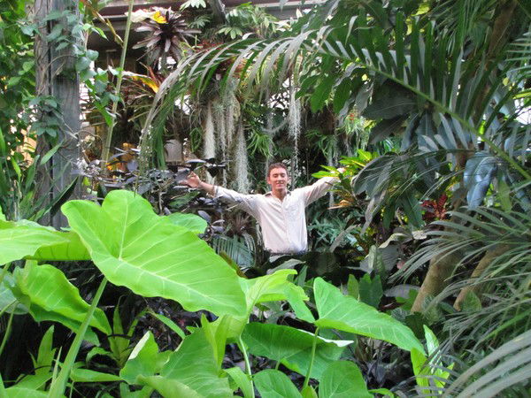 Джовид Махмудов