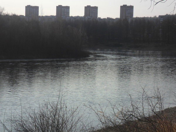 Анечка Анюта