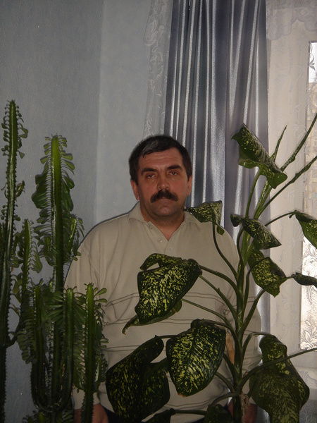 Александр Новиков