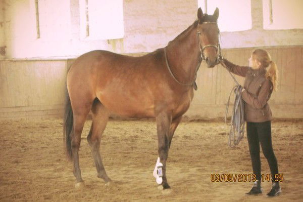 Света Кошелева