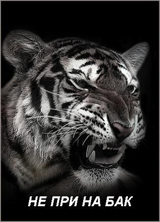 Саит Турсунов