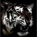 Саит Турсунов