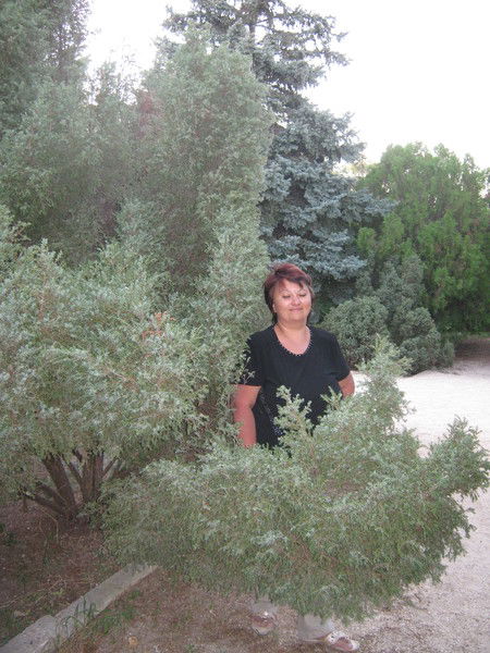 Елена Немченко