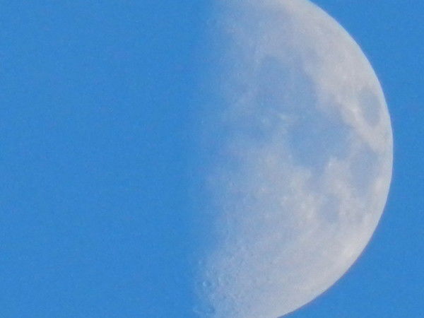 Денис Белов