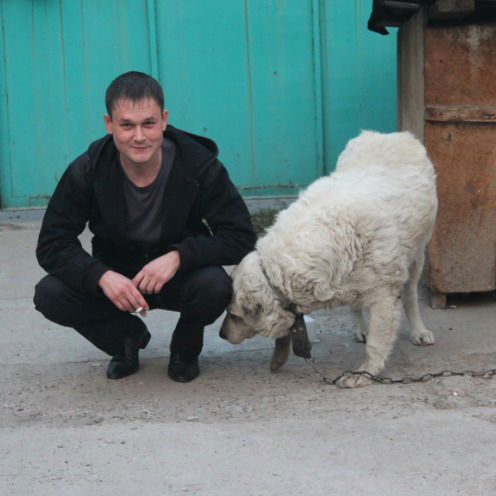 Владимир Евсеенко