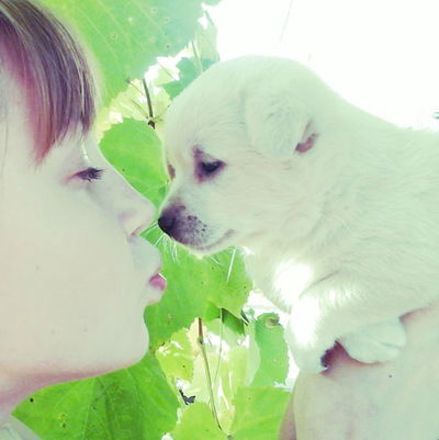 Іванна Українець