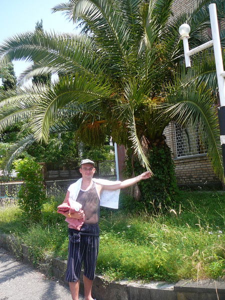 Александр Скорняков