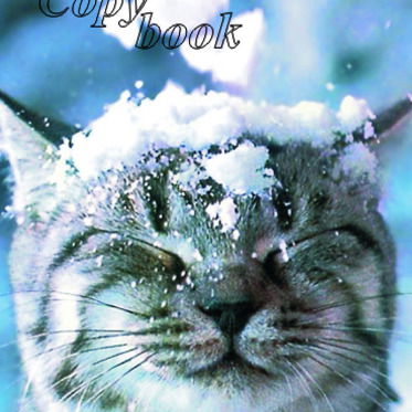 Валя Данилко