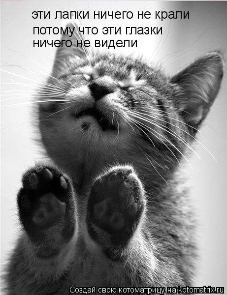 Татьяна Гнитько