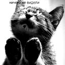 Татьяна Гнитько