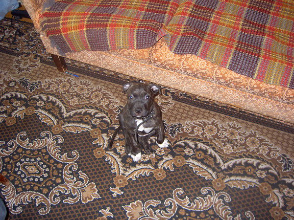 Александр Дырин