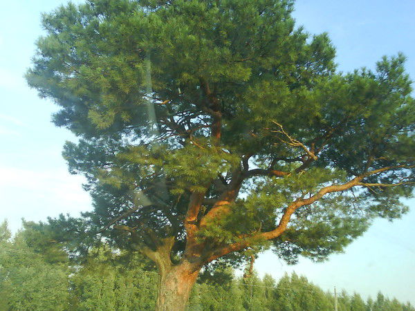 Ооо Рк-Стройгрупп