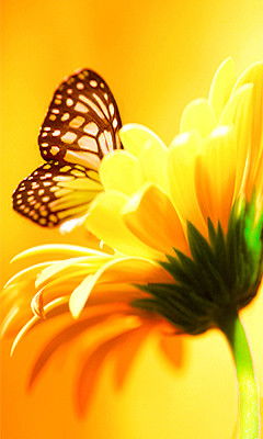 Татьяна Наревская