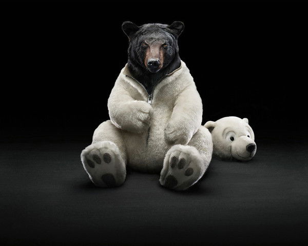 Евгений Панин Winner