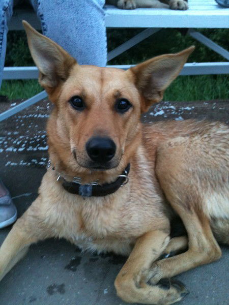 Василиса Бабинова