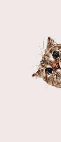 Федор Сухарев