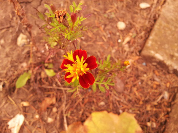 Александр Не Важно